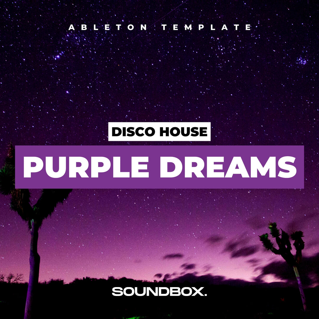 Purple Dreams (Disco House)